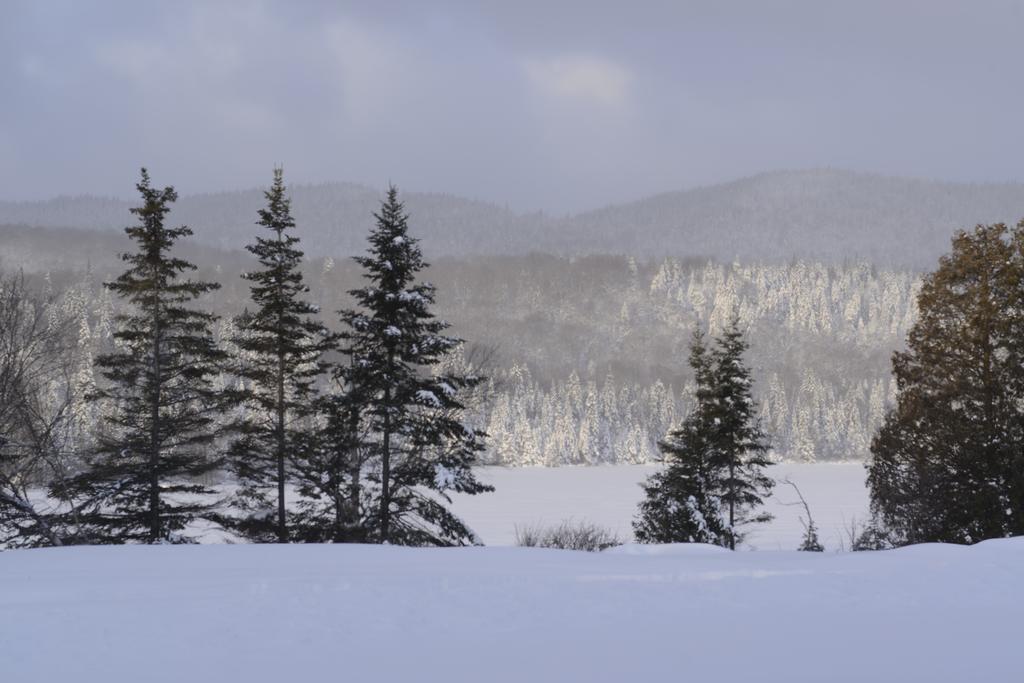 Le Grand R Ξενοδοχείο Saint-Donat-de-Montcalm Εξωτερικό φωτογραφία